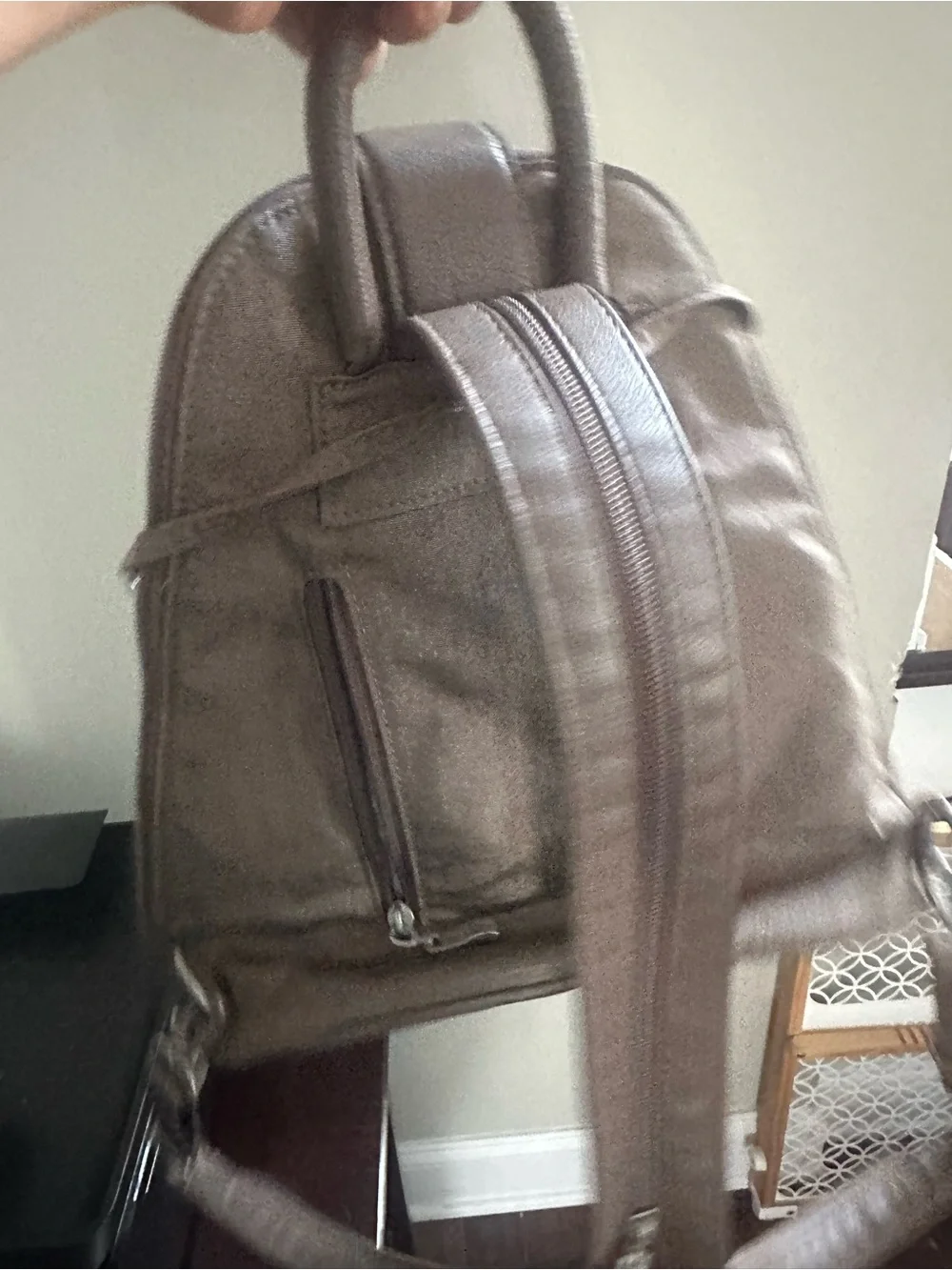 Baggallini Taupe Sling Backpack with Front Zip Pocket travel bag